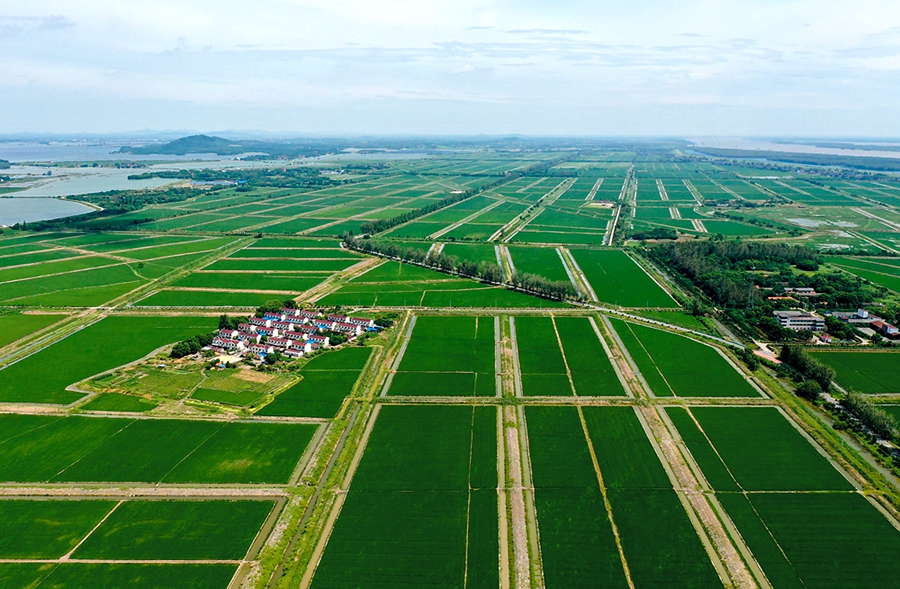 铜陵推动“七个一”农业特色产业发展