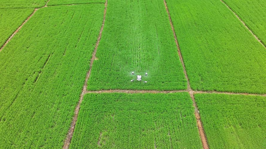 广西港北区建成逾24万亩高标准农田