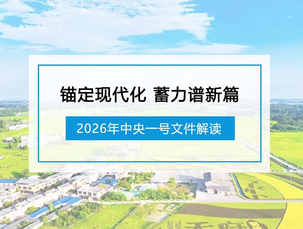 2026年中央一号文件解读