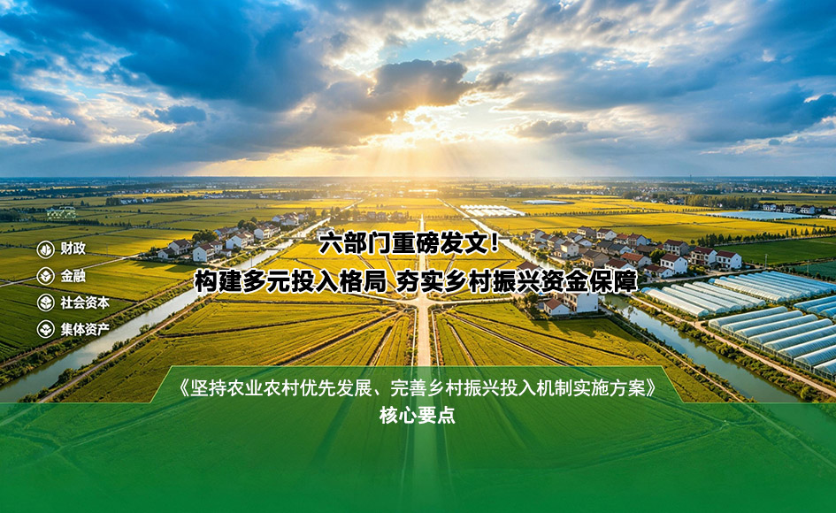六部门重磅发文！乡村振兴“钱袋子”机制全面升级，读懂农业农村